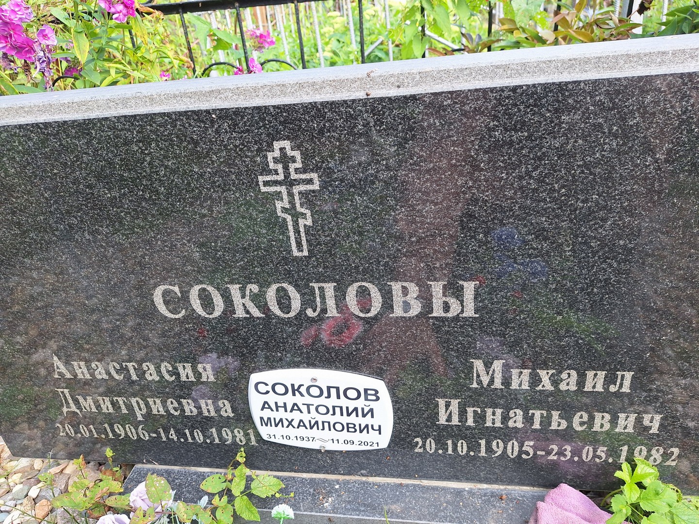 Соколова Анастасия Дмитриевна