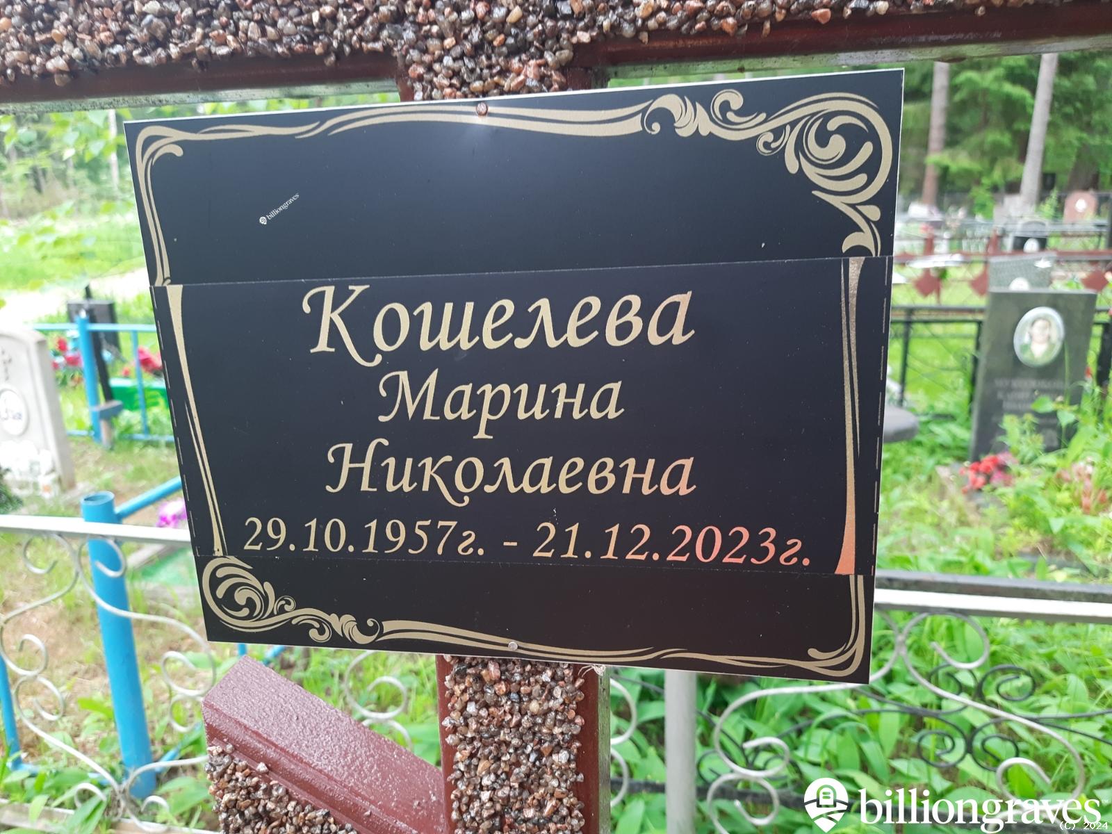 Кошелева Марина Николаевна
