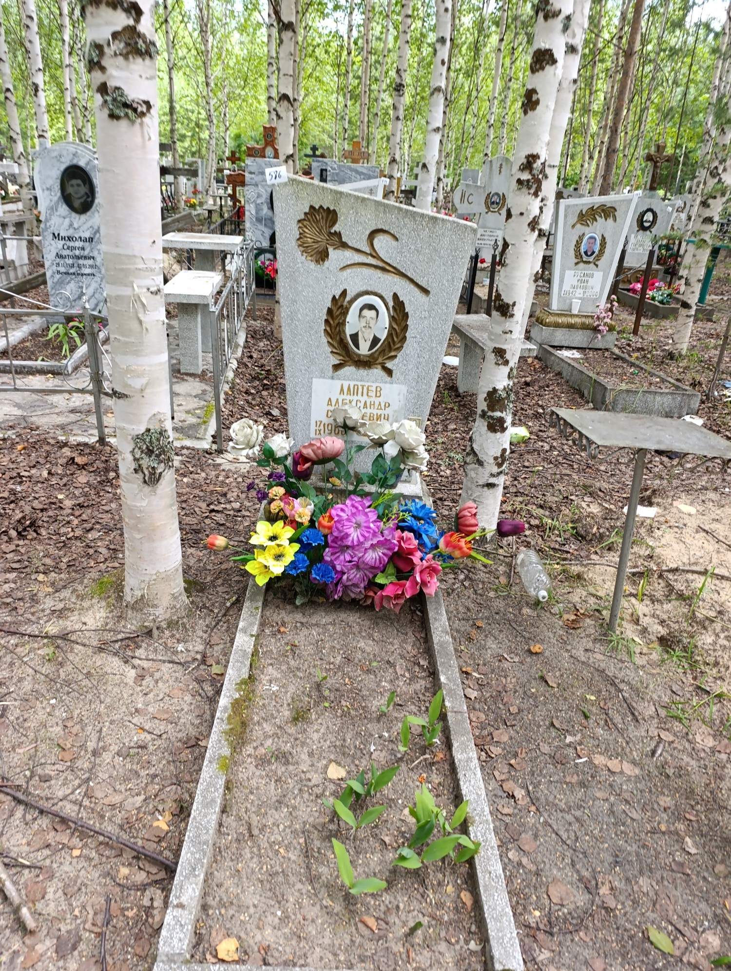 Лаптев Александр Сергеевич