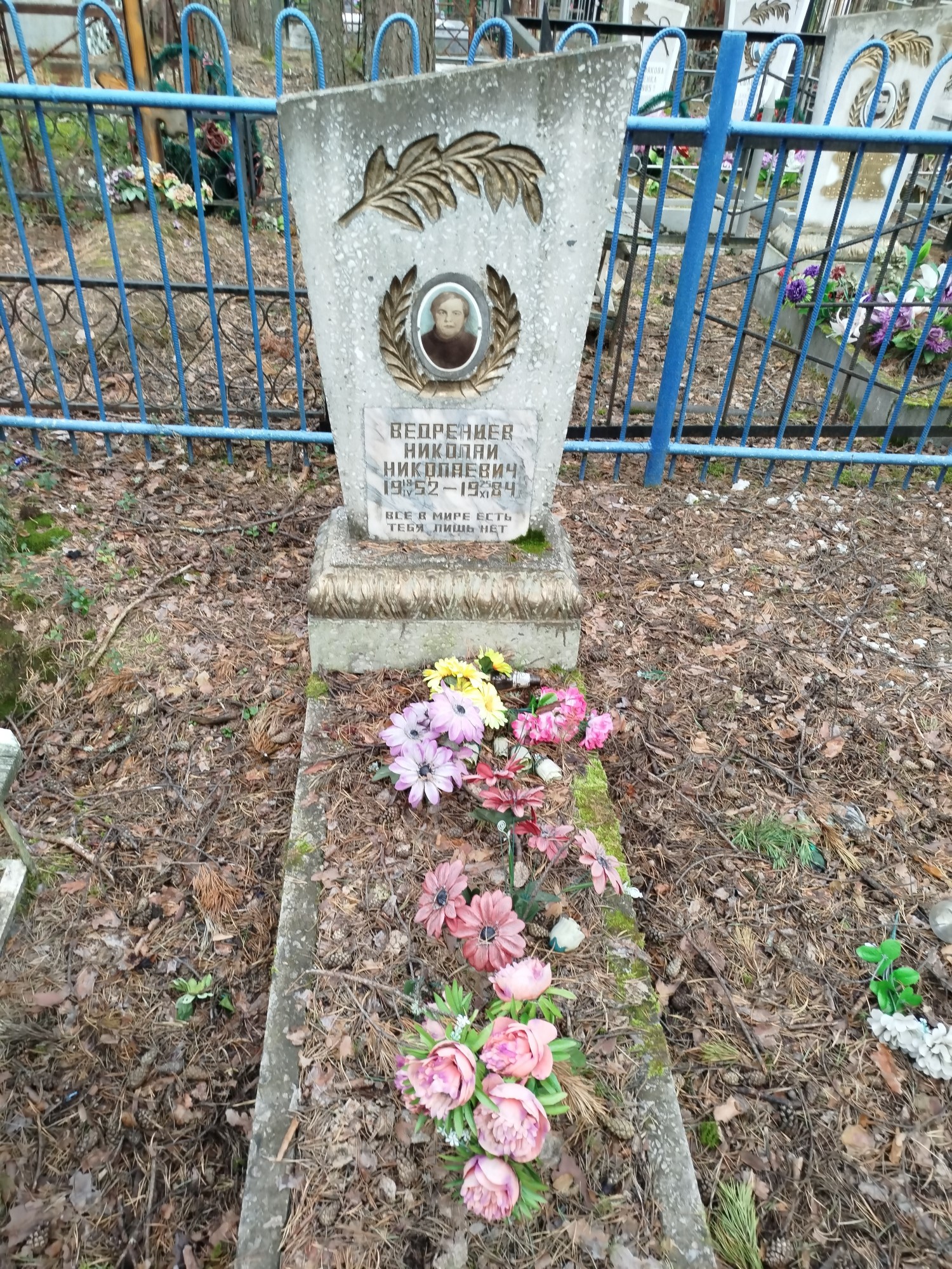 Ведрениев Николай Николаевич