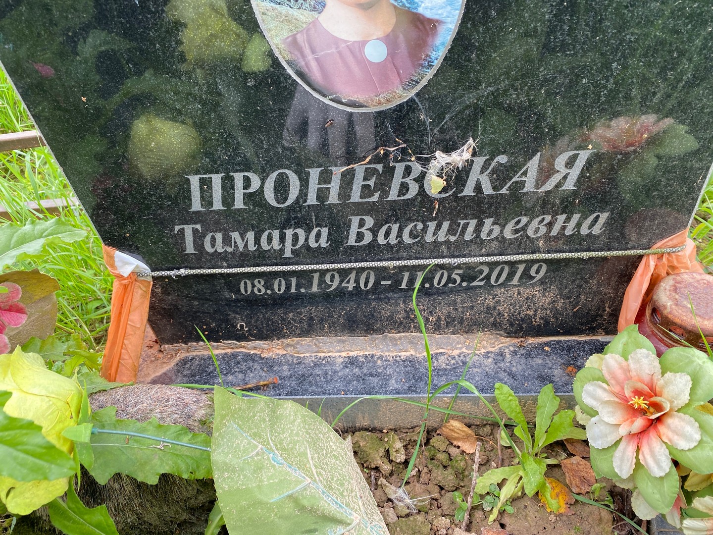 Проневская