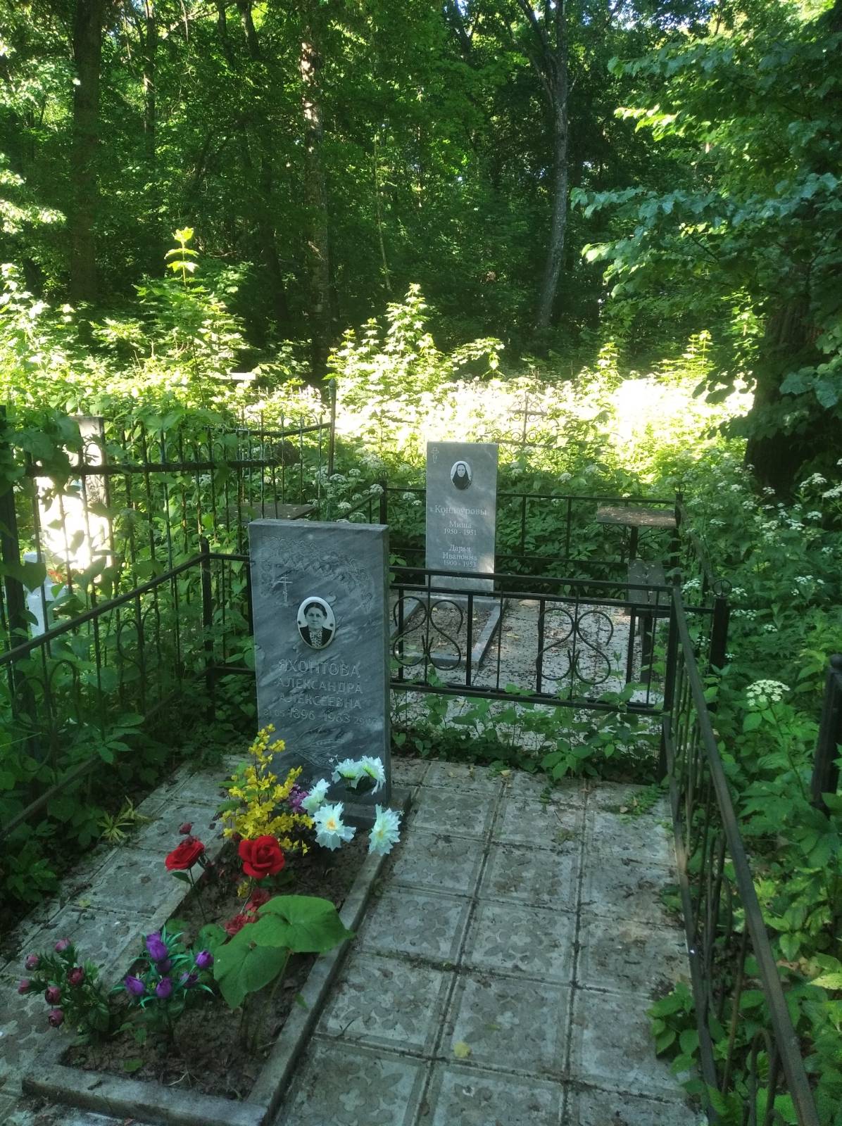 Яхонтова Александра Алексеевна