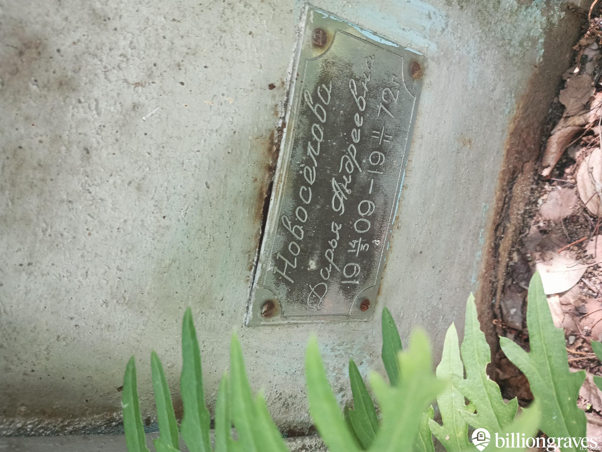 Новосëлова Дарья Андреевна