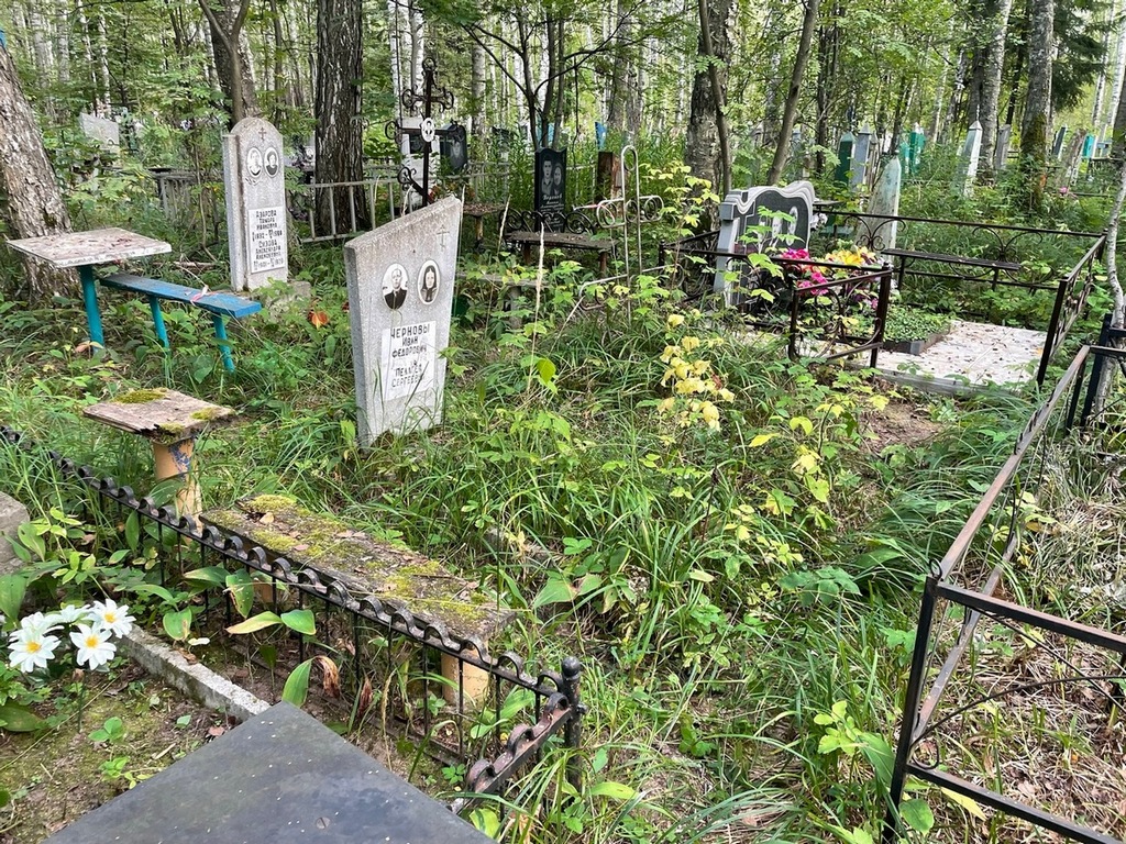 Чернова Пелагея Сергеевна