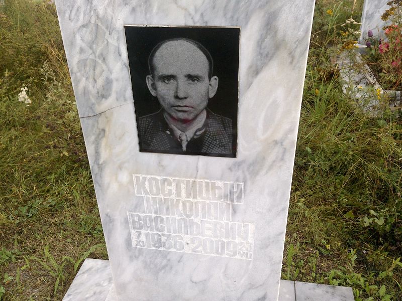 Костицын