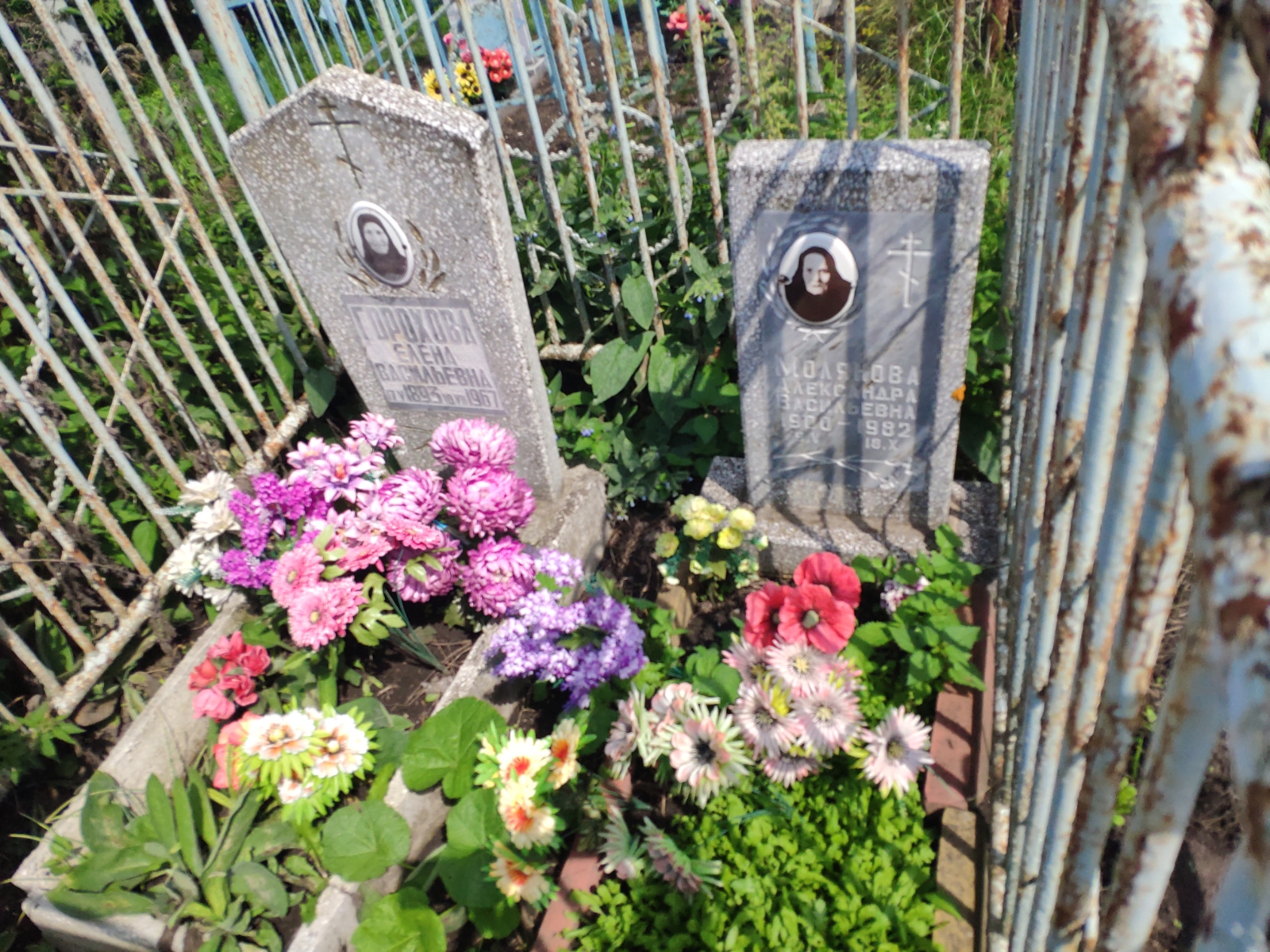 Молянова Александра Васильевна
