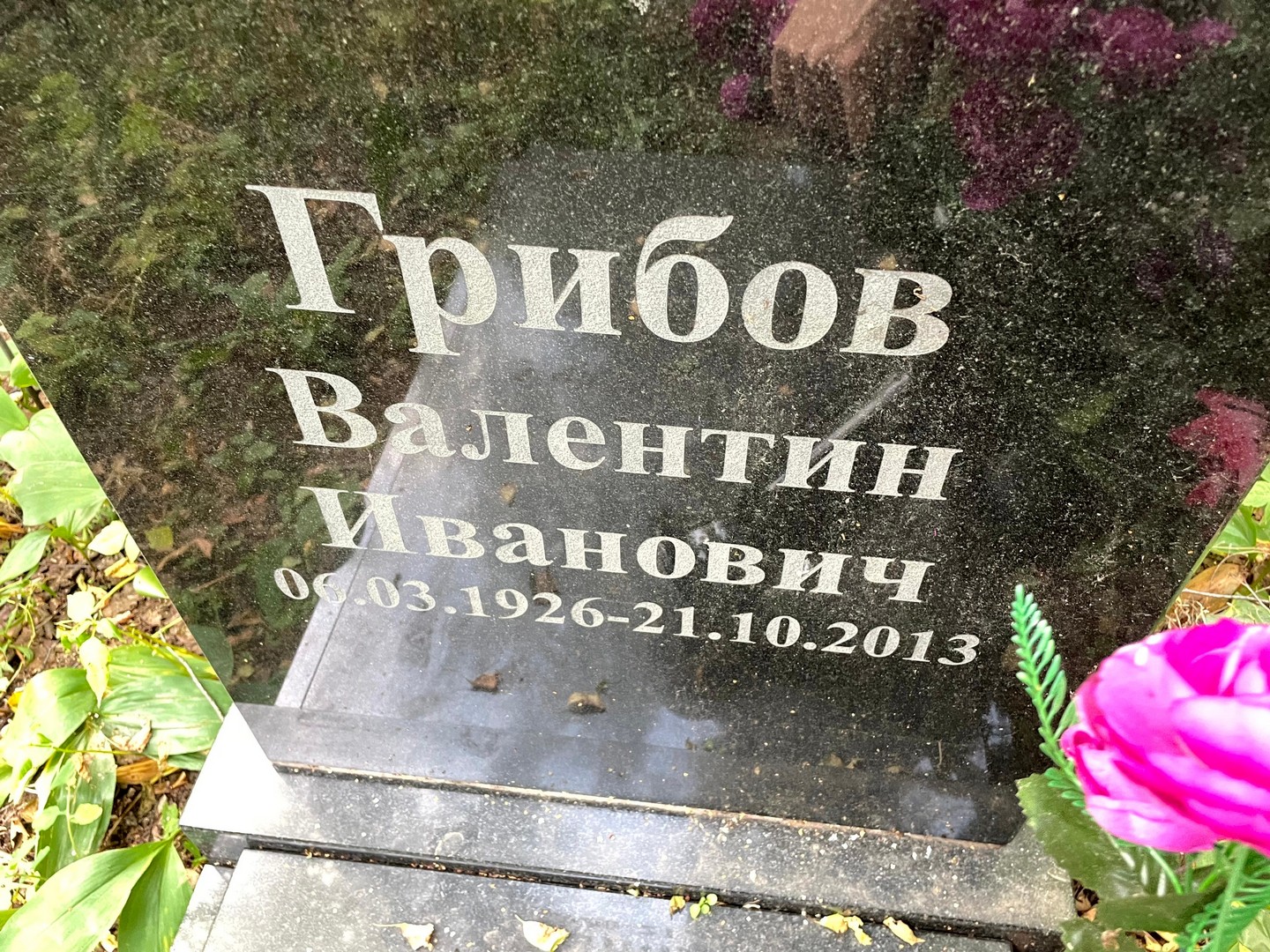 Грибов
