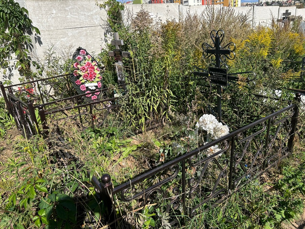 Фрейдина Жанна Вячеславовна