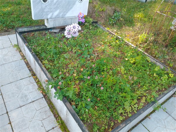 Груздева Фаина Сергеевна