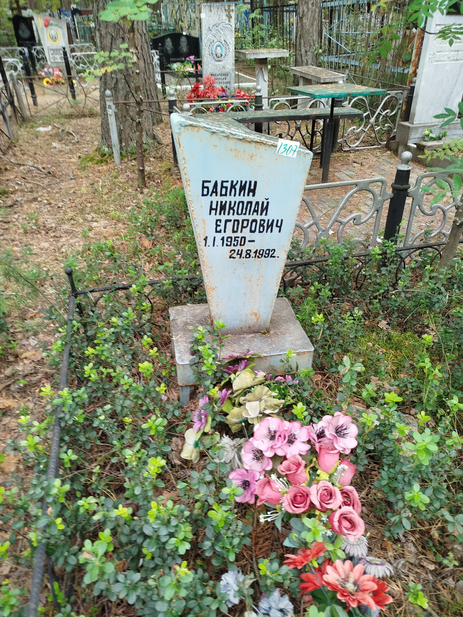 Бабкин Николай Егорович
