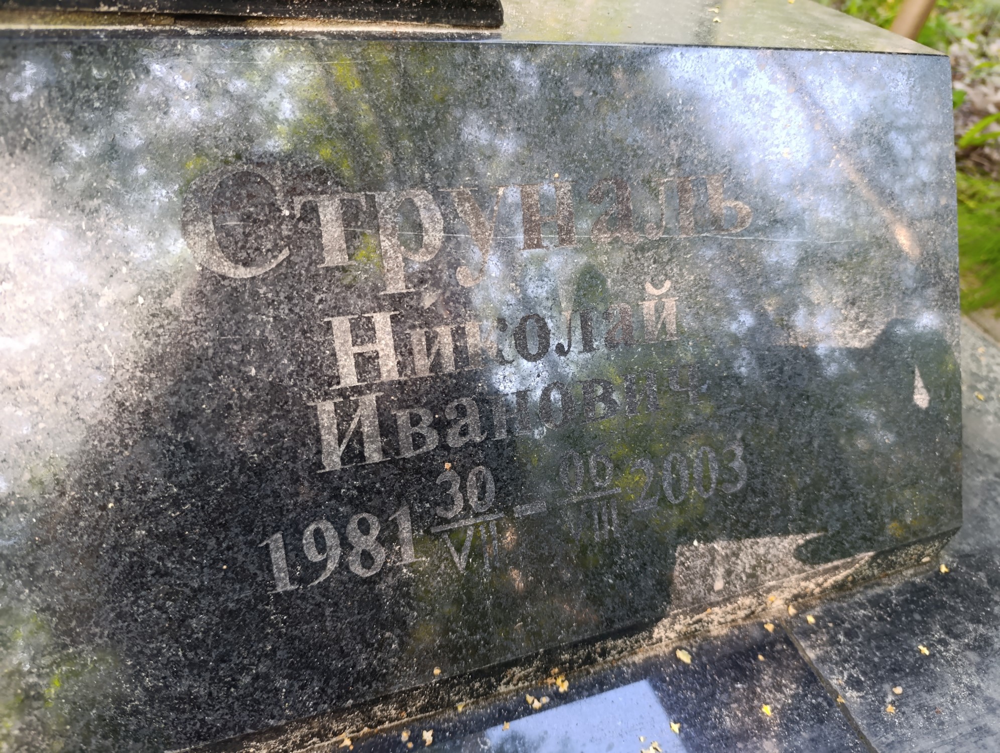 Струналь Николай Иванович
