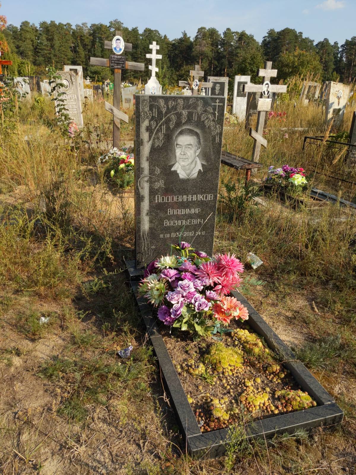Подовинников Владимир Васильевич