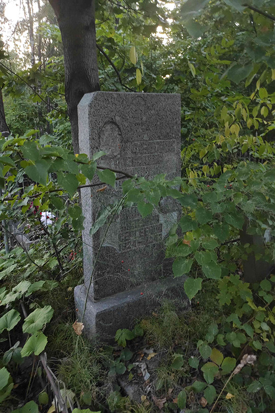 Абрамова Валерия Сергеевна