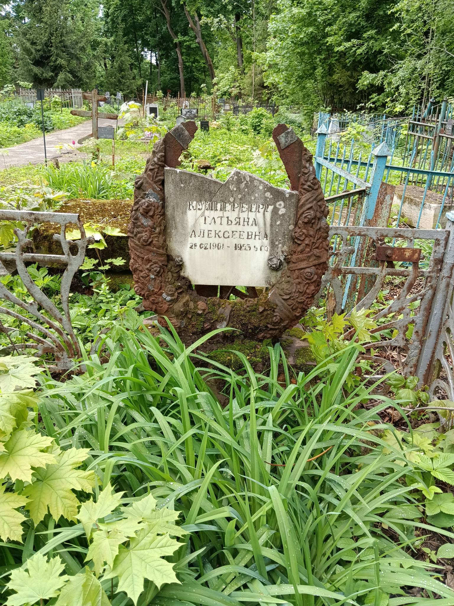 Купперберг Татьяна Алексеевна
