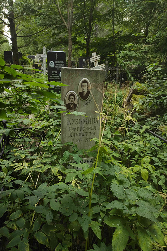 Кузьмина Т. Г.