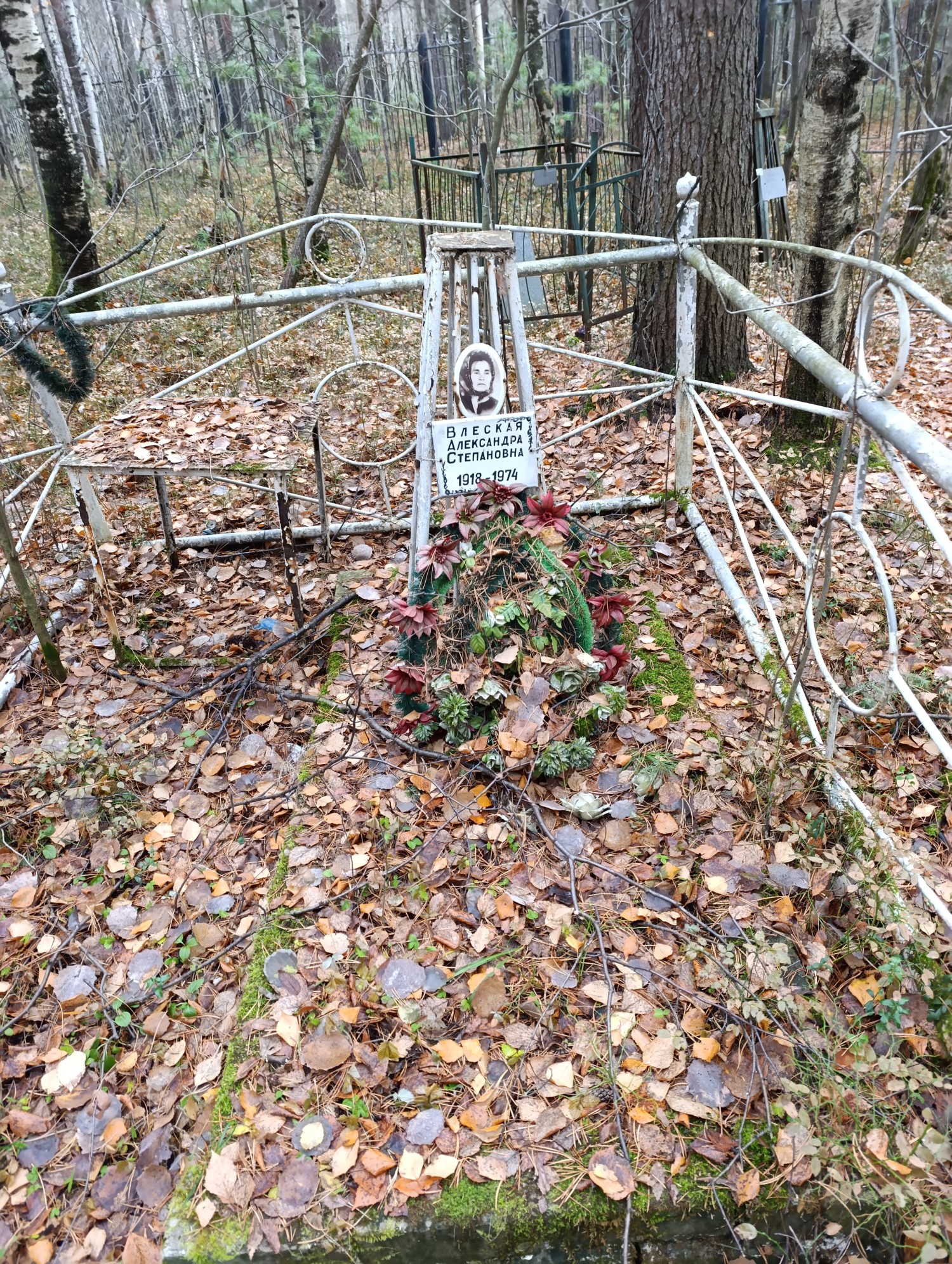 Влеская Александра Степановна