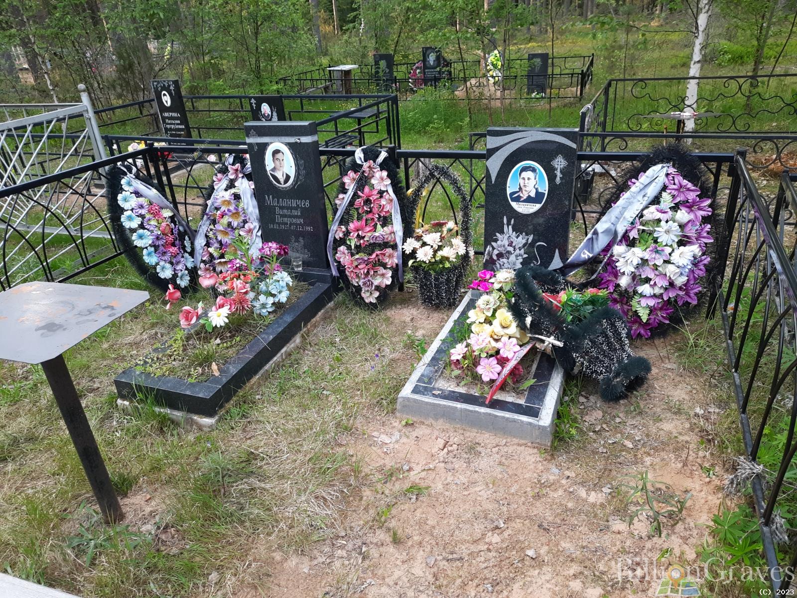 Маланичева Дина Романовна
