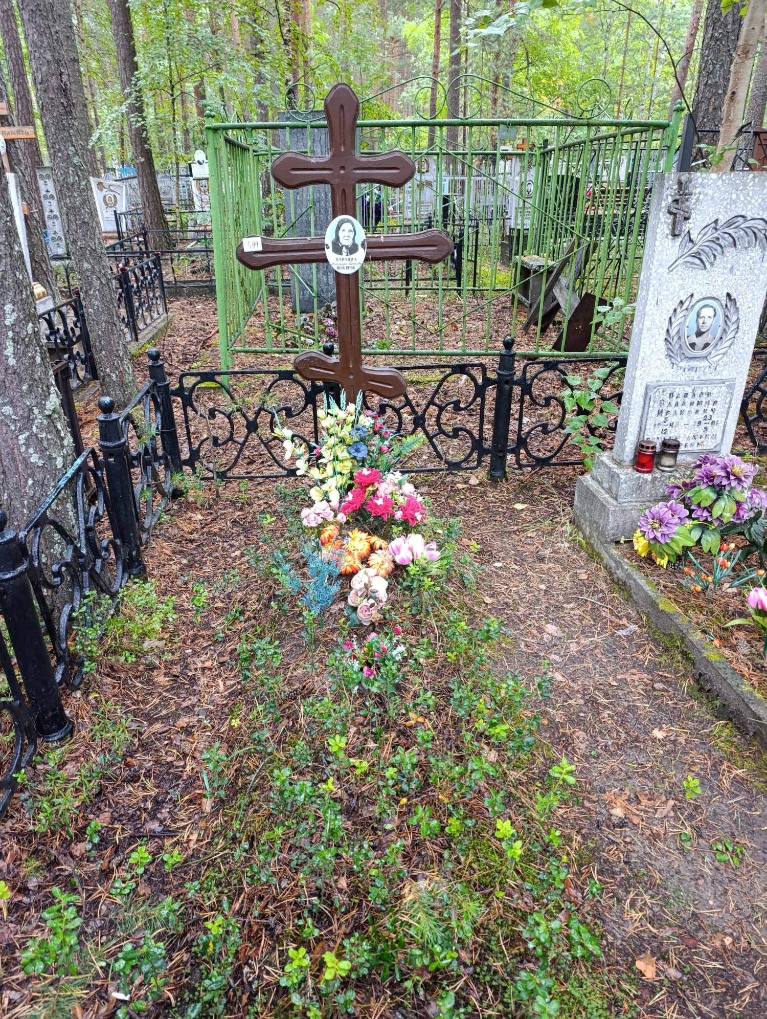 Павлова Александра Михайловна