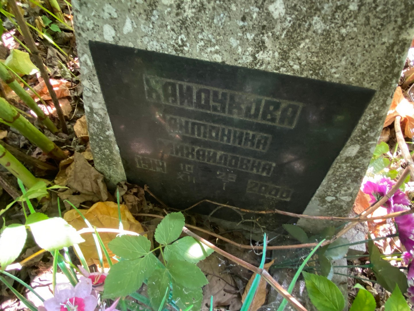 Хайдукова Антонина Михайловна