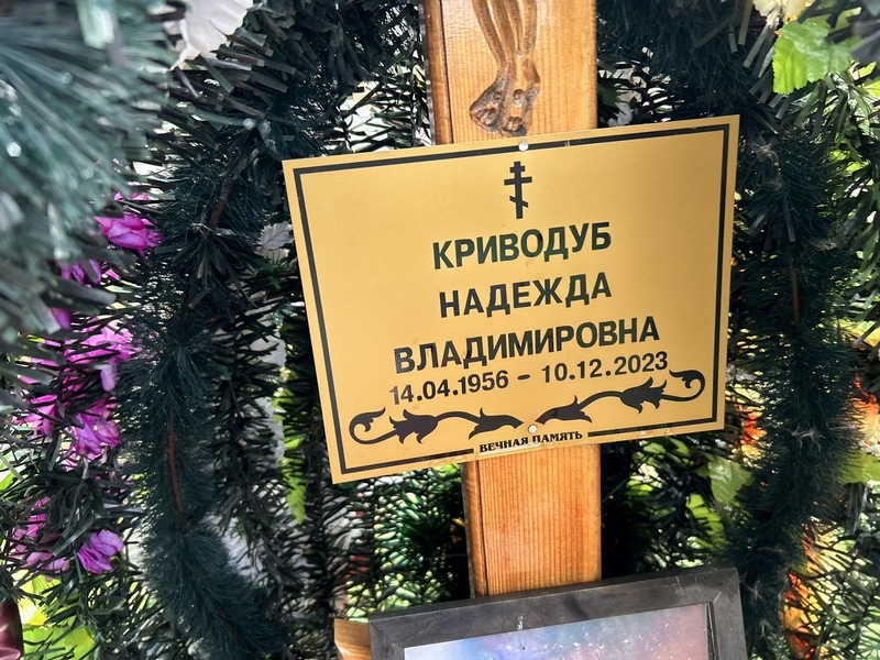 Криводуб