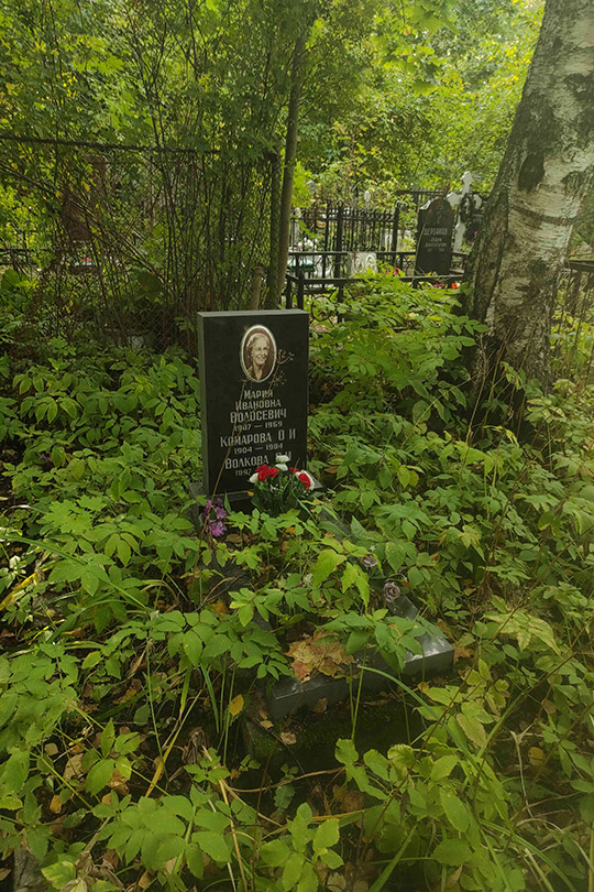 Волкова З. И.
