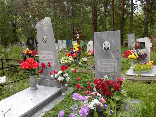 Мешавкин Виктор Владимирович