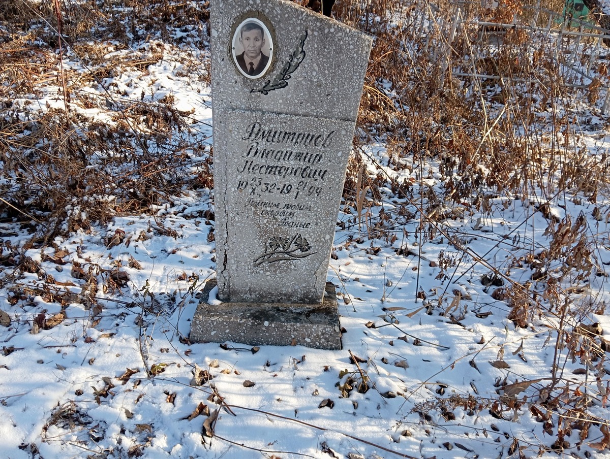 Дмитриев Владимир Нестерович