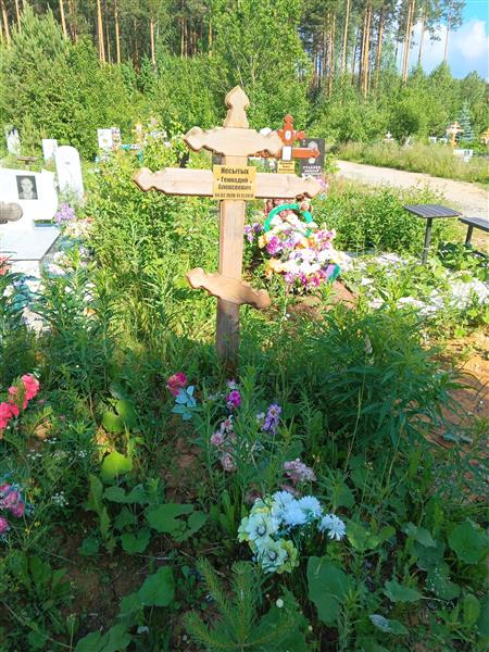 Несытых Геннадий Алексеевич
