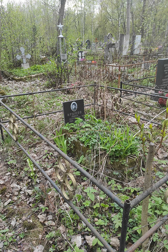 Крылов Павел Сергеевич