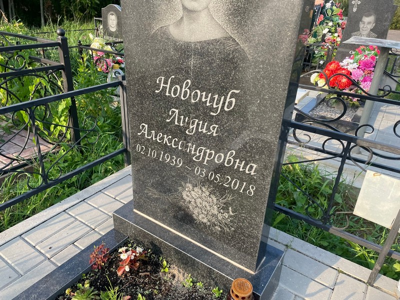 Новочуб