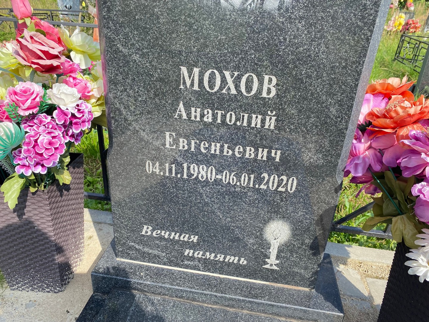 Мохов
