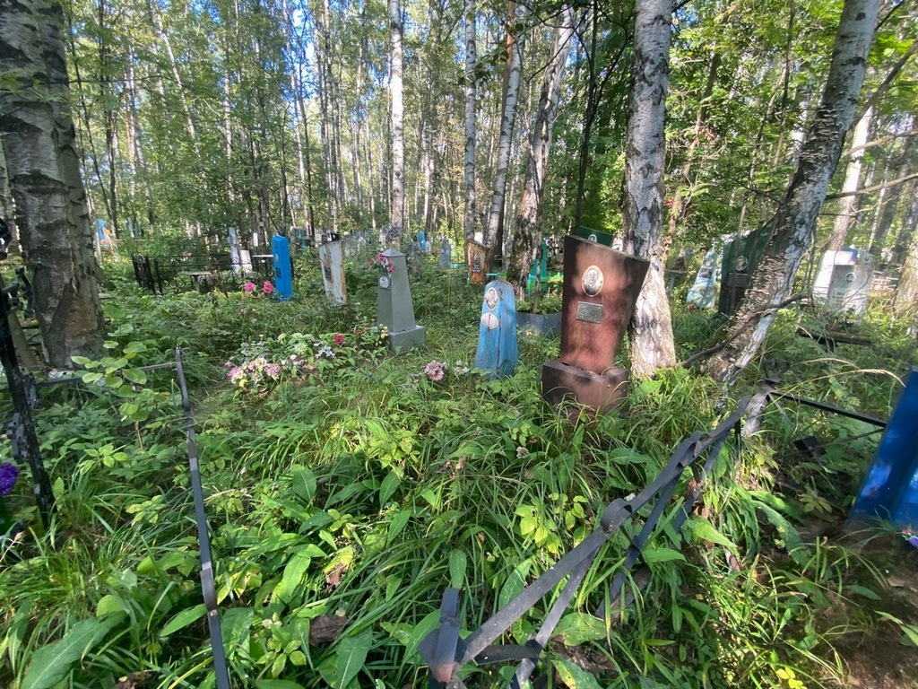 Спиридонов Дмитрий Алексеевич