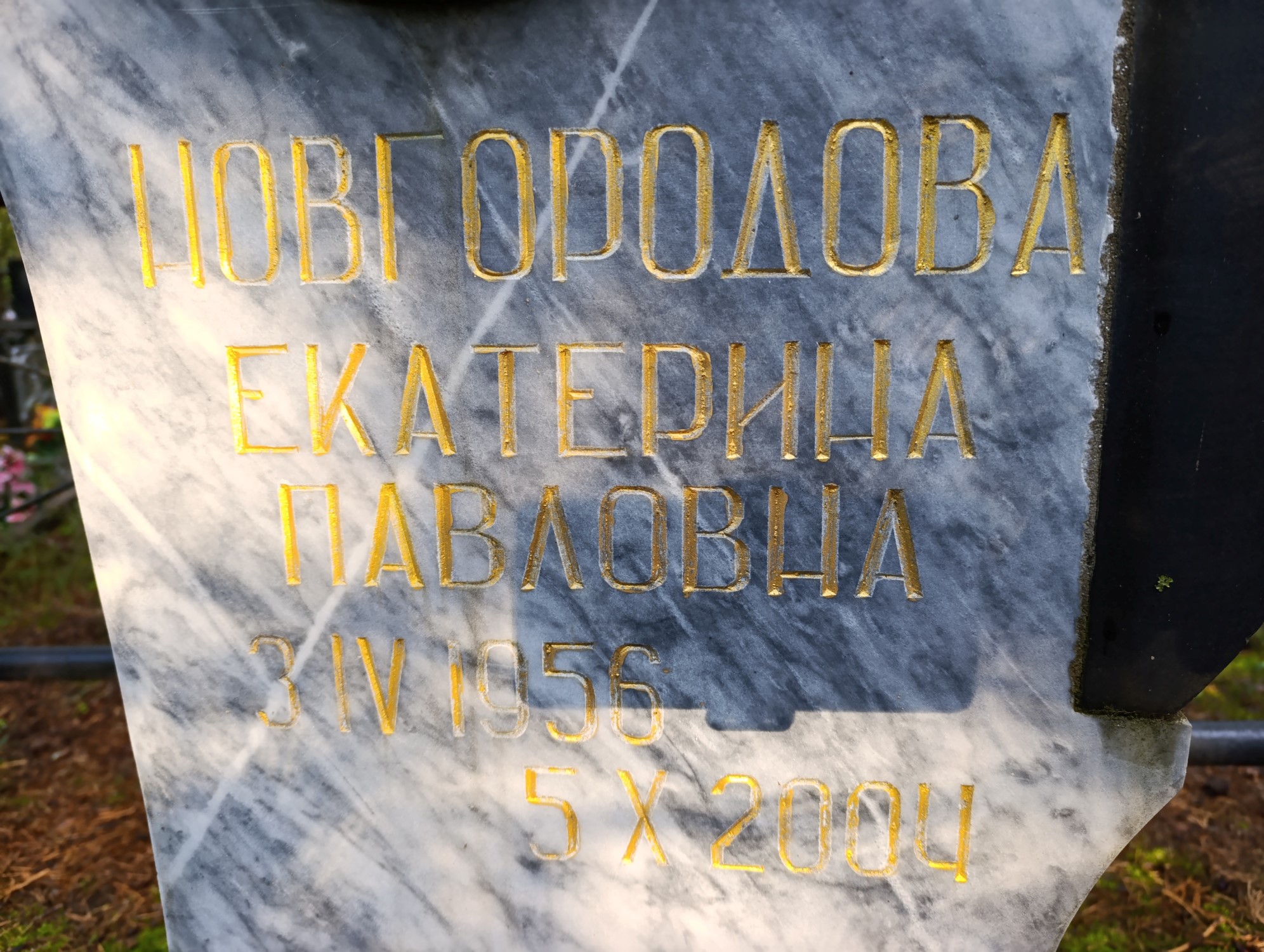 Новгородова Екатерина Павловна