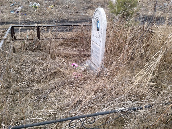 Егорова Елена Петровна
