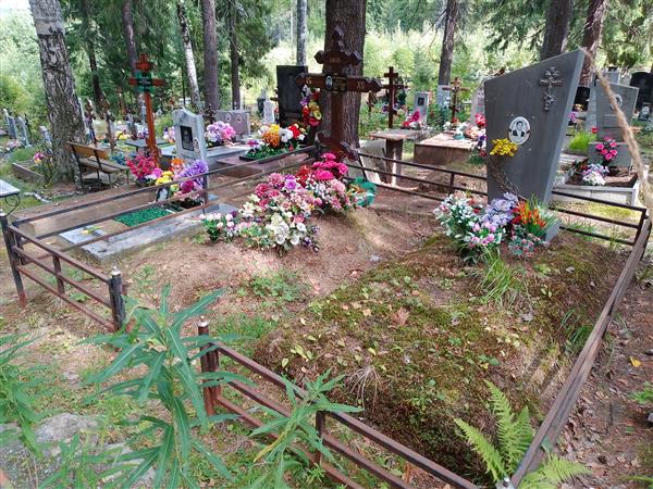 Вершинина Ольга Николаевна
