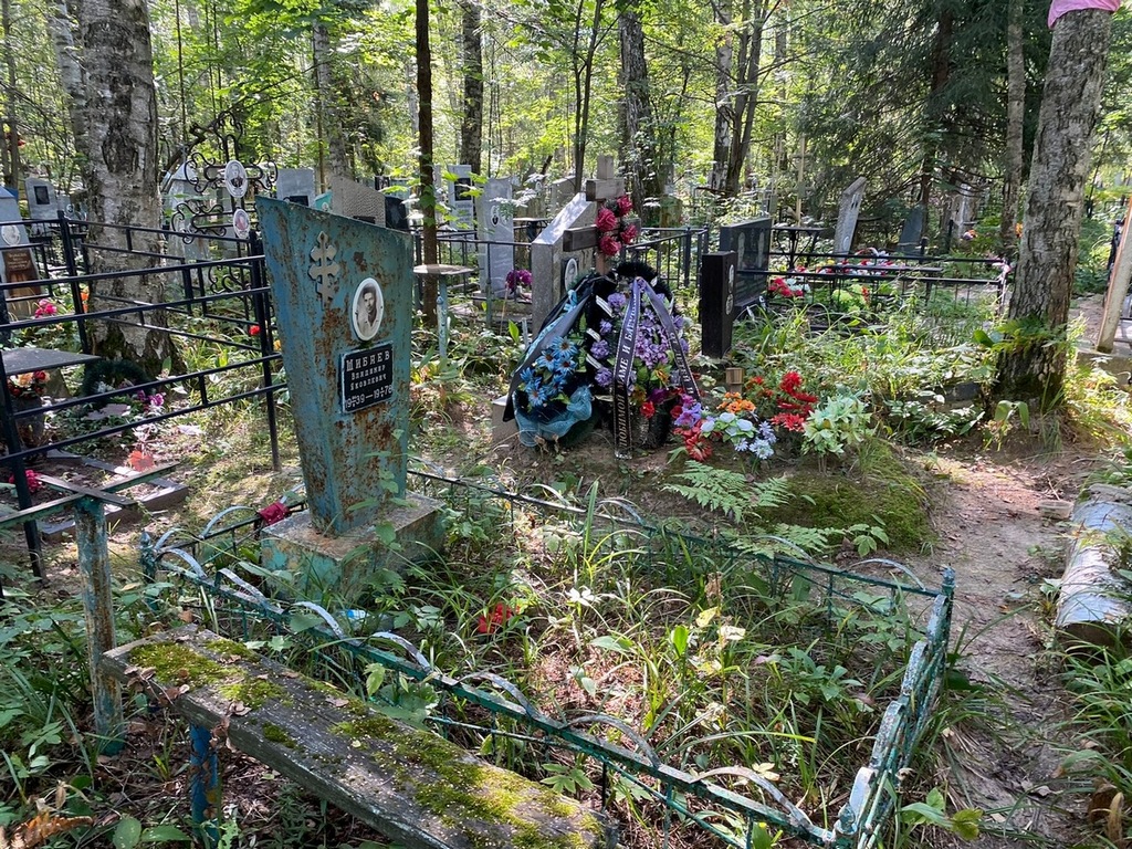 Шибаев Владимир Яковлевич