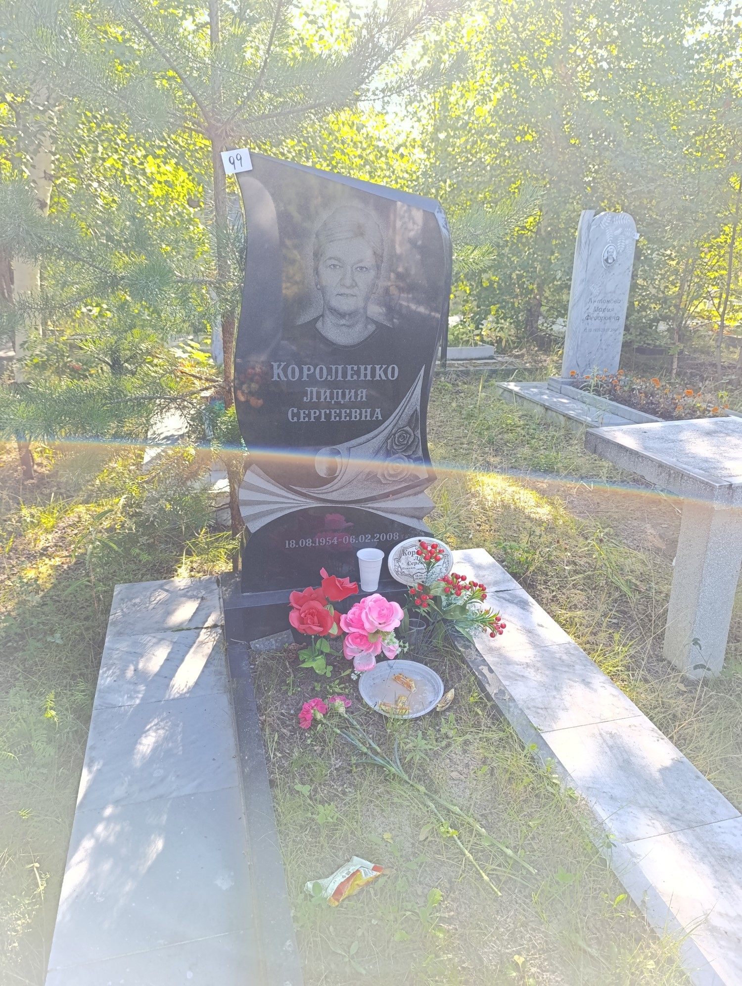 Короленко Лидия Сергеевна