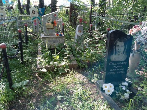 Струговец Лариса Ильинична