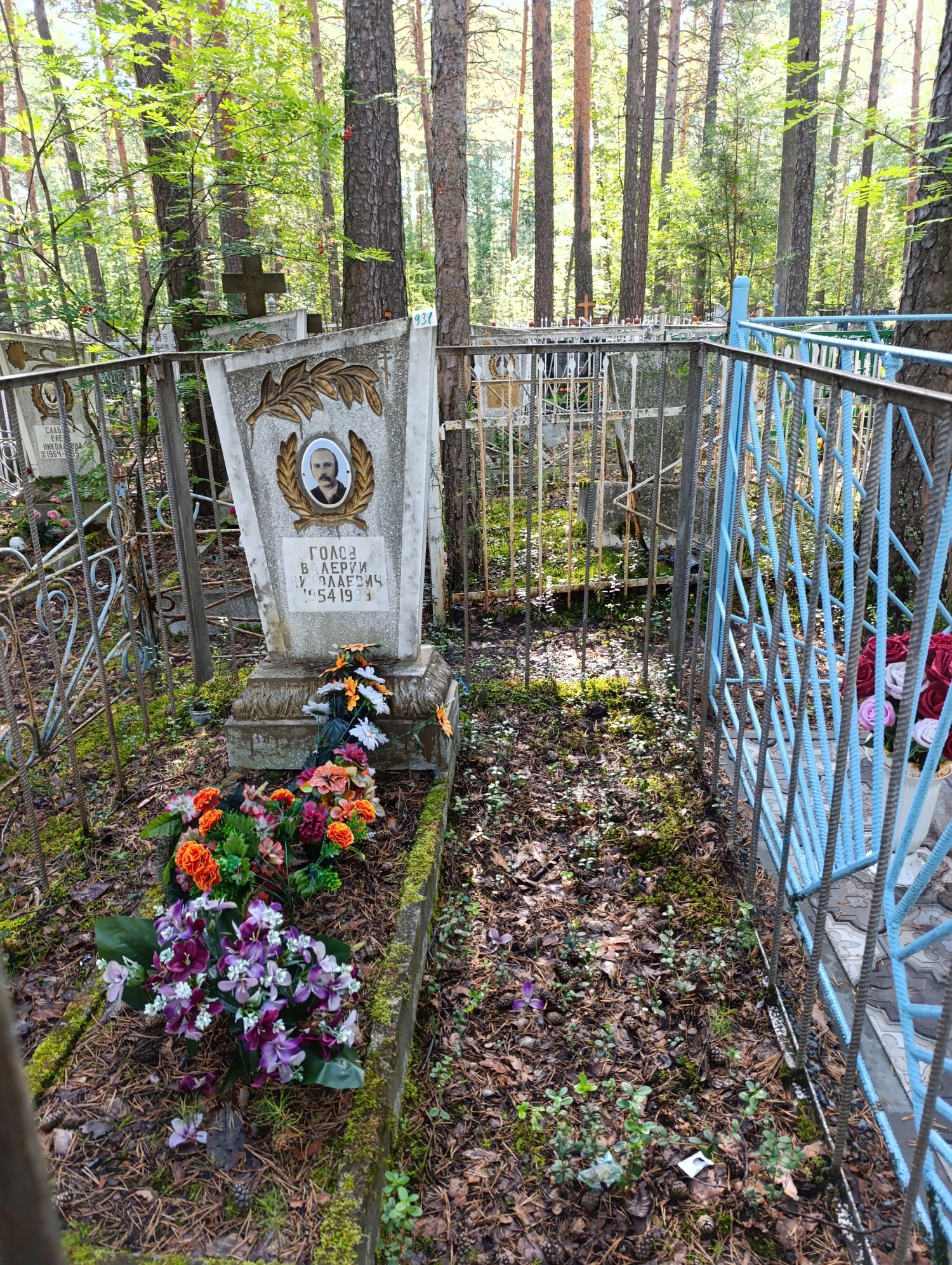 Голов Валерий Николаевич