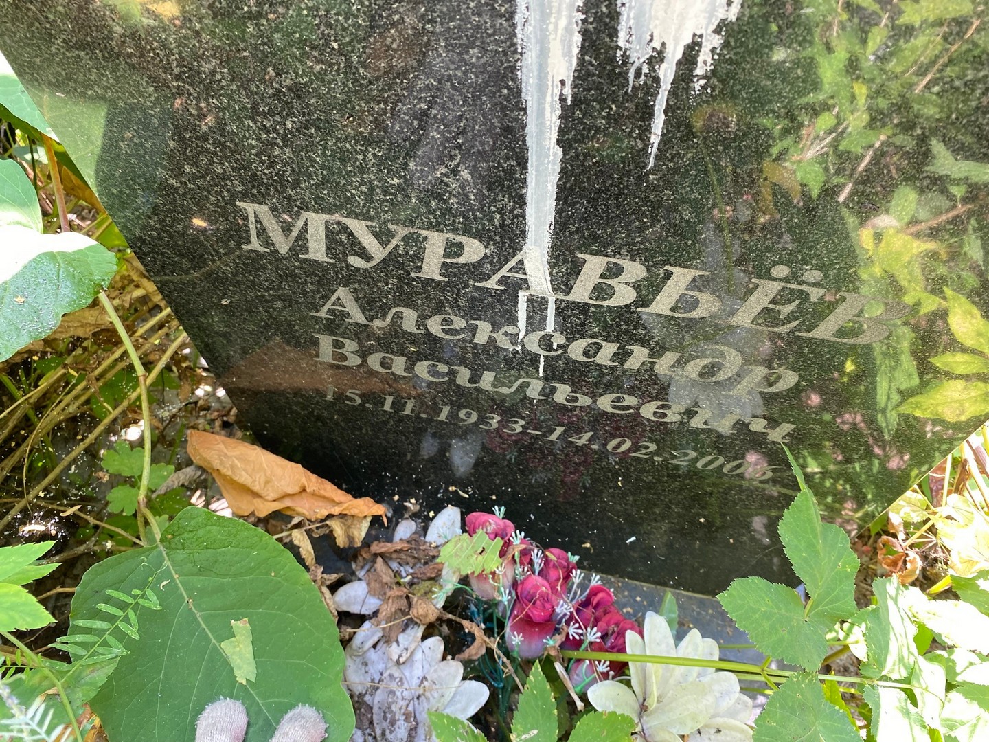Муравьев