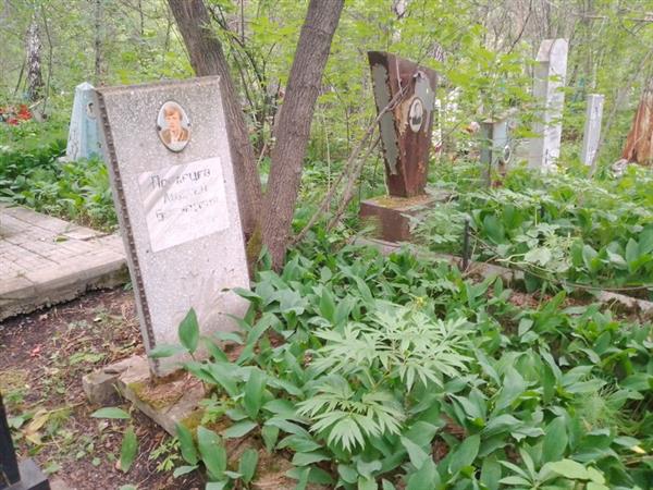 Погарцев Андрей Борисович