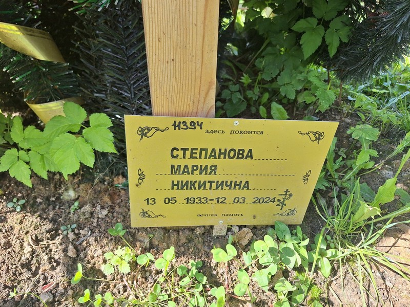 Степанова