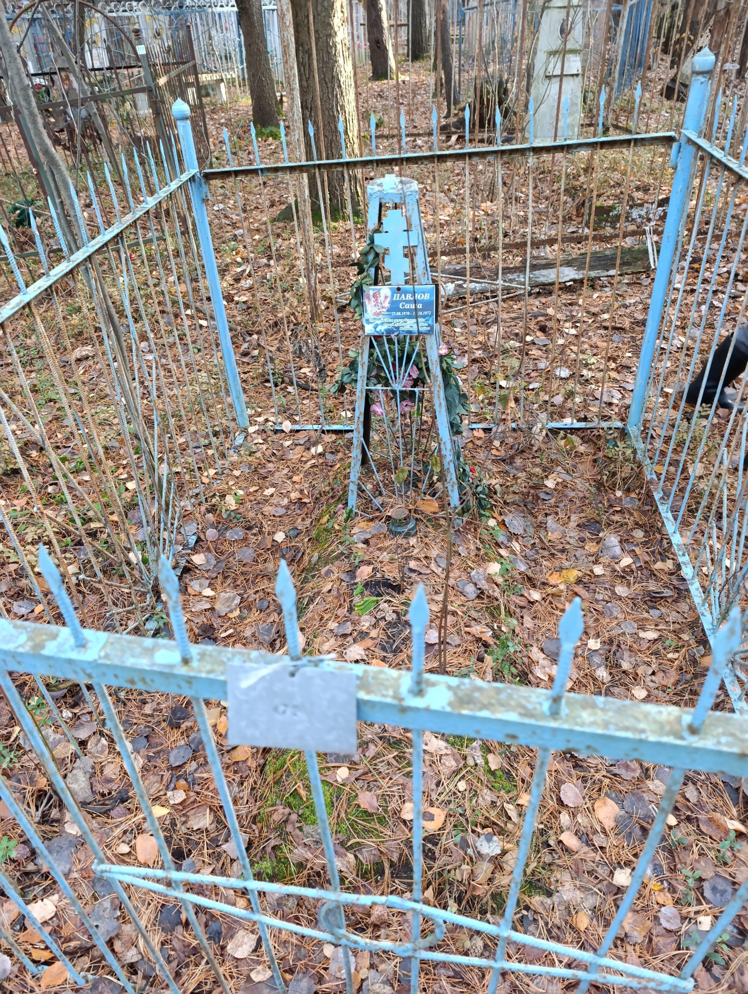 Павлов Саша