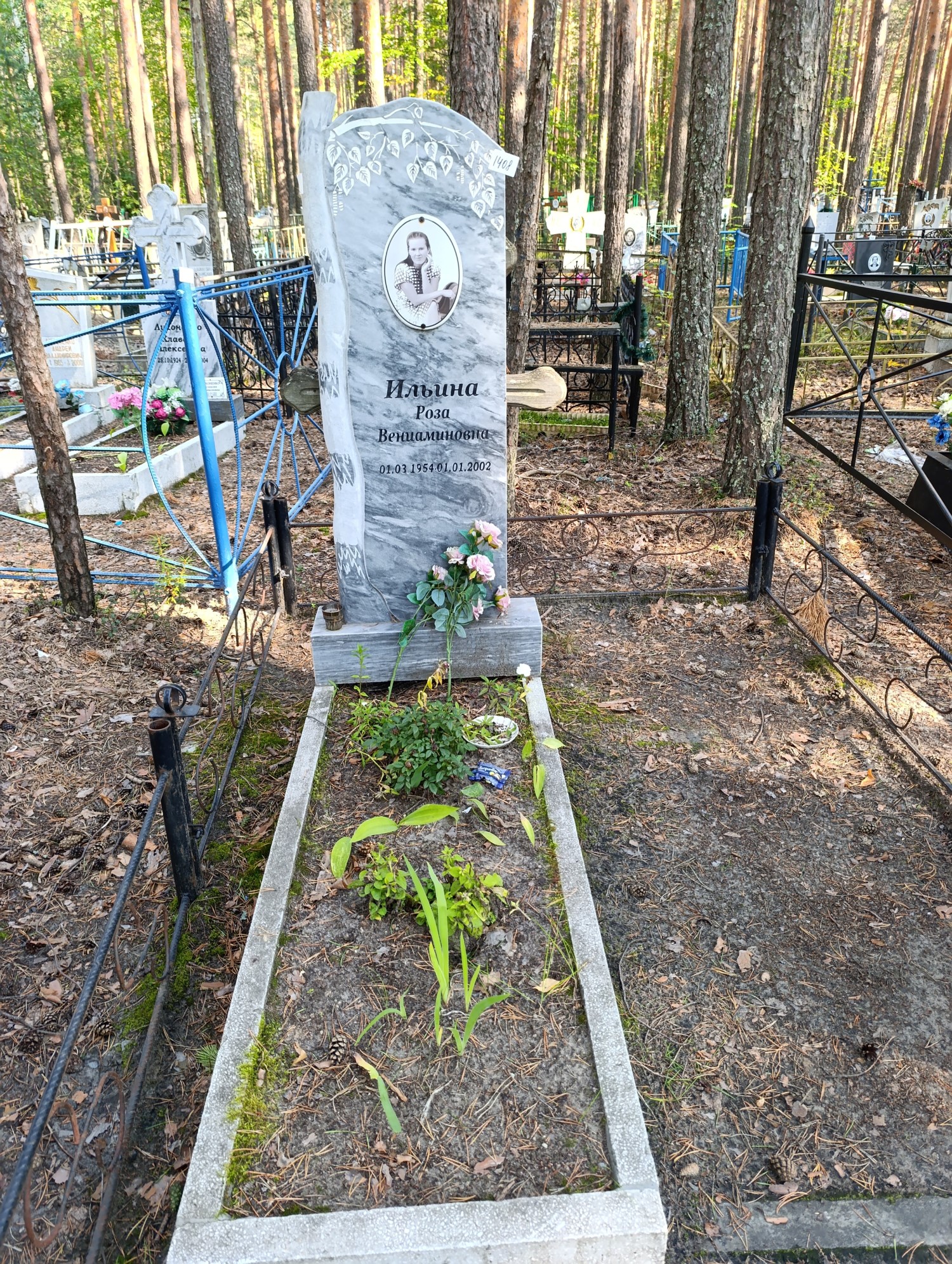 Ильина Роза Вениаминовна