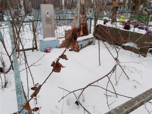 Плетнер Юлия Васильевна
