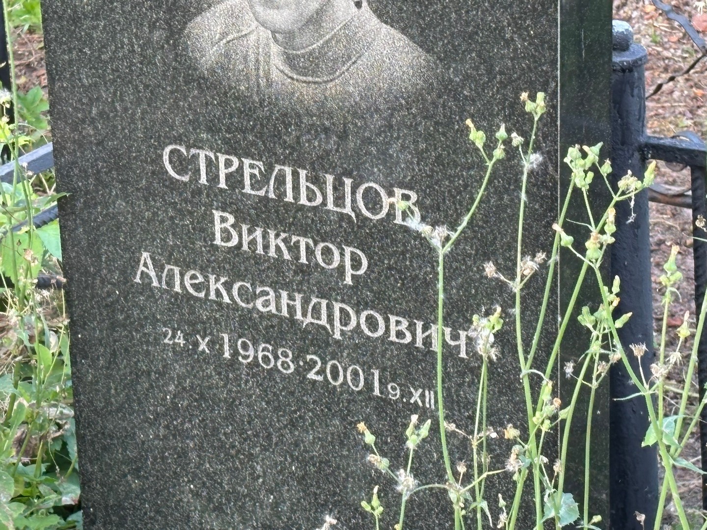 Стрельцов