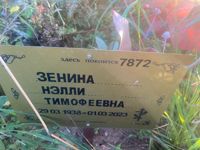 Нэлли Зенина Тимофеевна