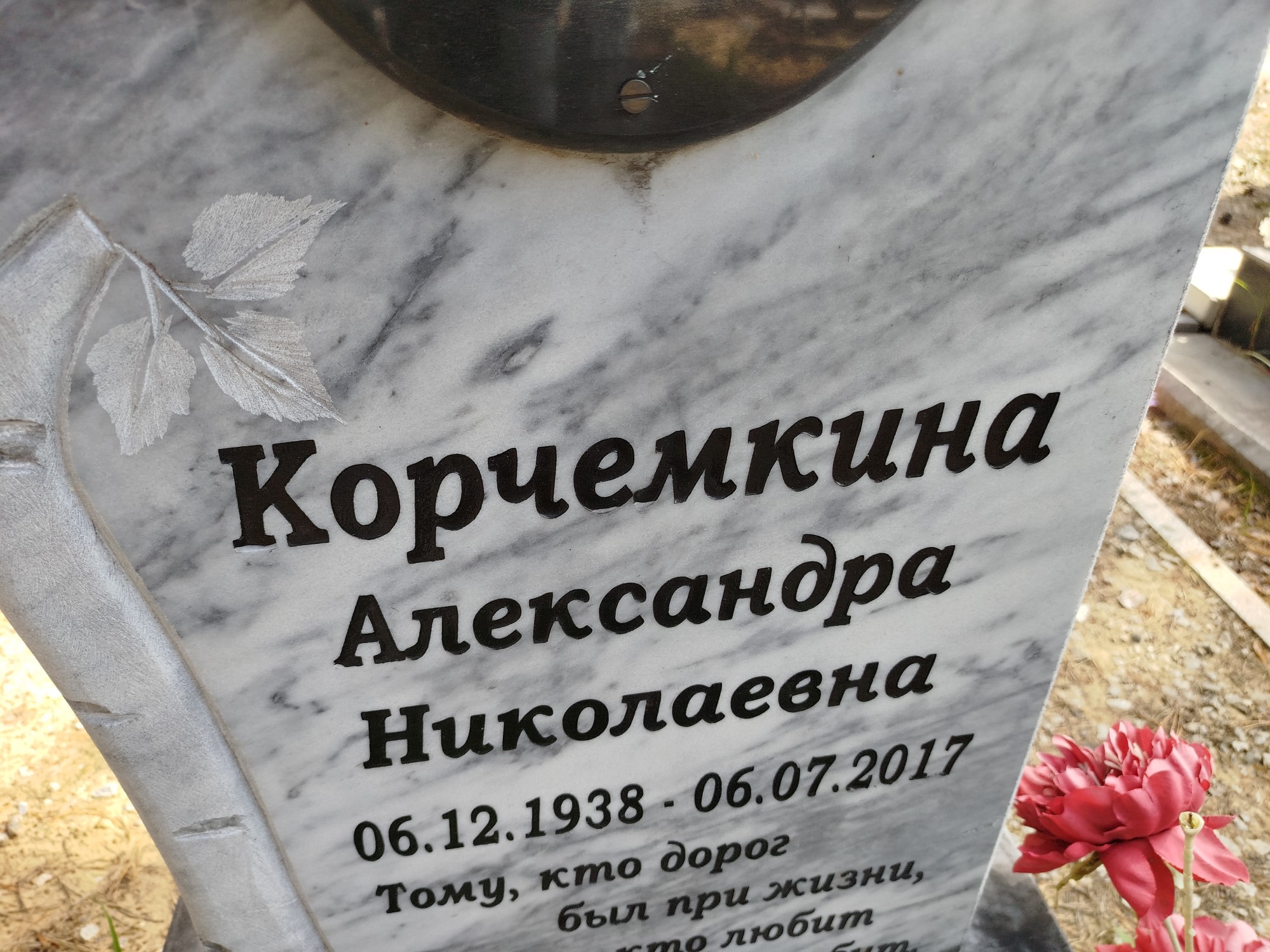 Корчемкина Александра Николаевна