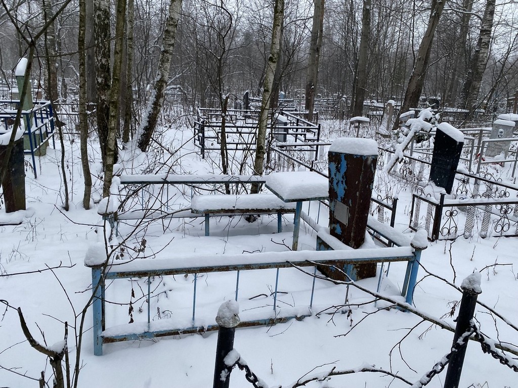 Дорогова Вера Николаевна