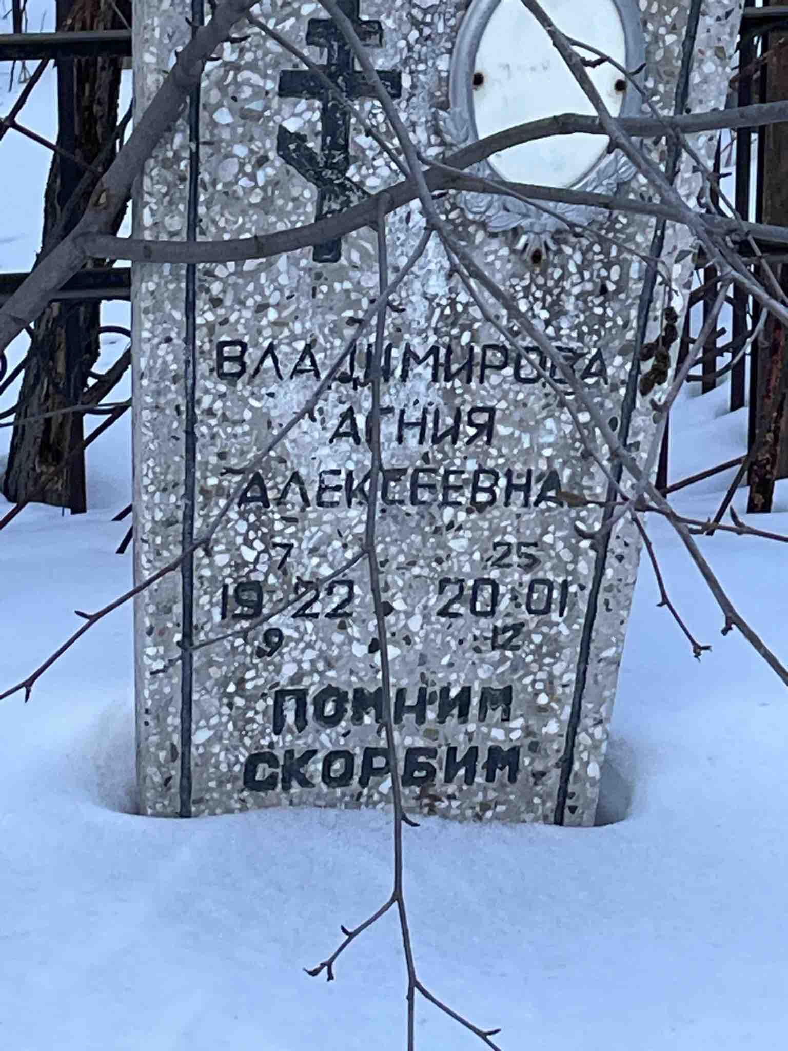 Владимирова Агния Алексеевна